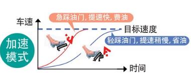 小白上路开车如何节油
